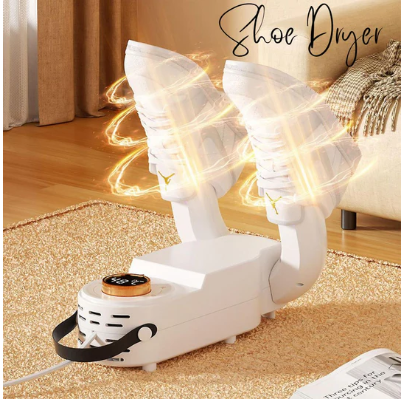 Dry & Fresh: Advanced Shoe Dryer"